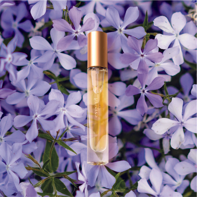 Parfum de prièresシリーズ