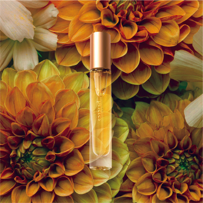 Parfum de prièresシリーズ